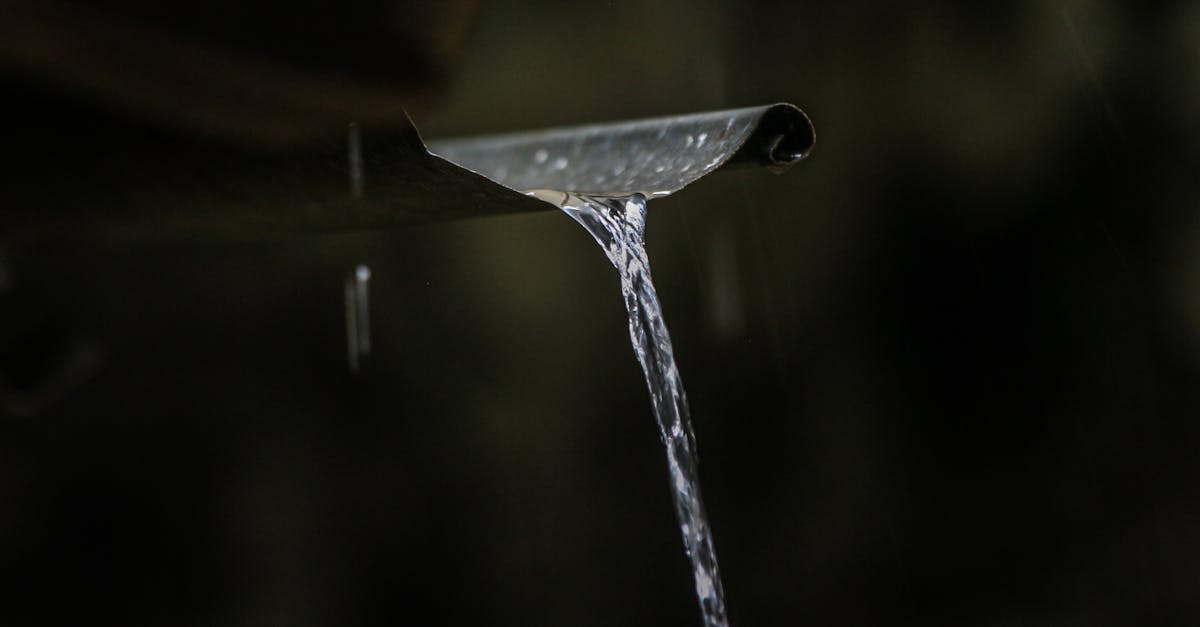 A Comprehensive Review of Sydney's Gutter Cleaning Service Options