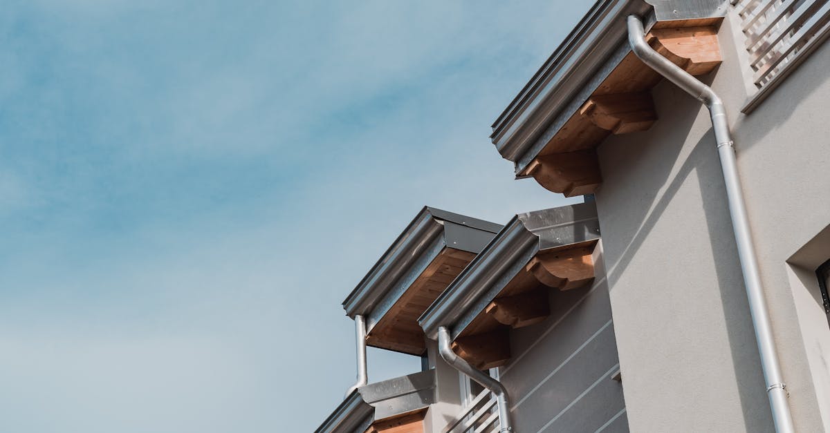 Advantages of Robotic Gutter Cleaning in Sydney Homes