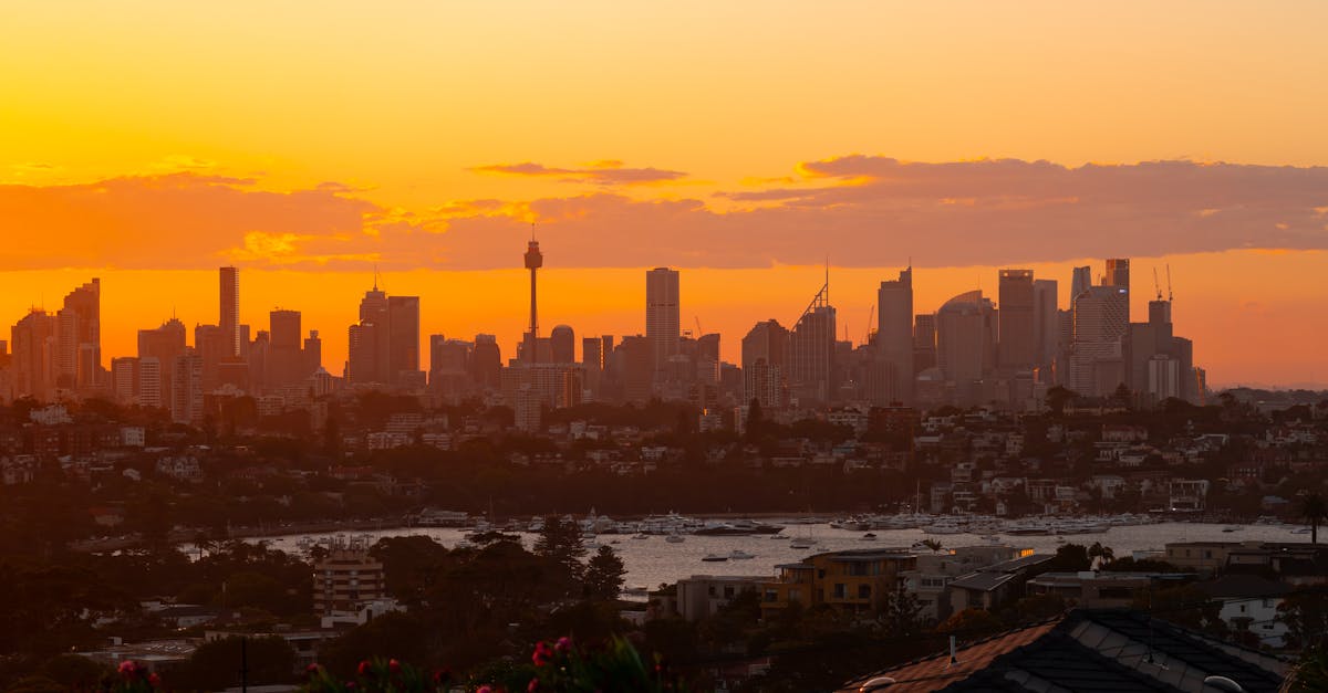 Customisable Gutter Cleaning Packages for Sydney Homes