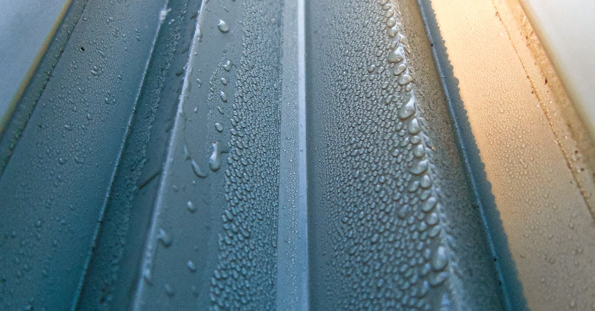 Factors Influencing Gutter Cleaning Costs in Sydney