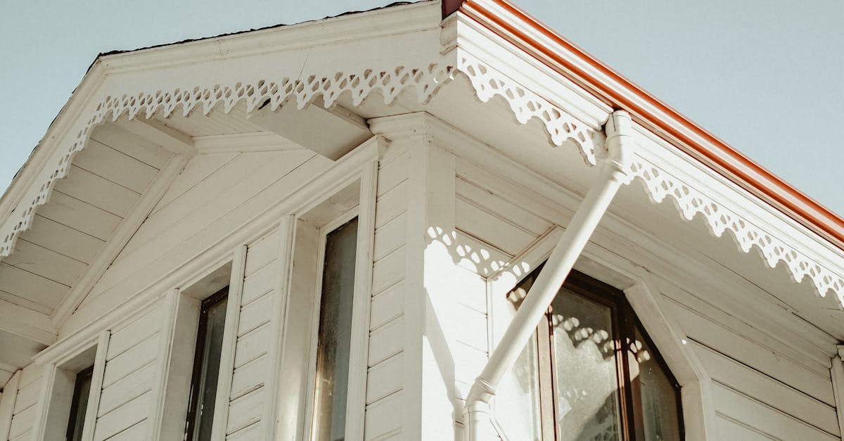 How Eco-Friendly Solutions Protect Your Gutters and the Environment