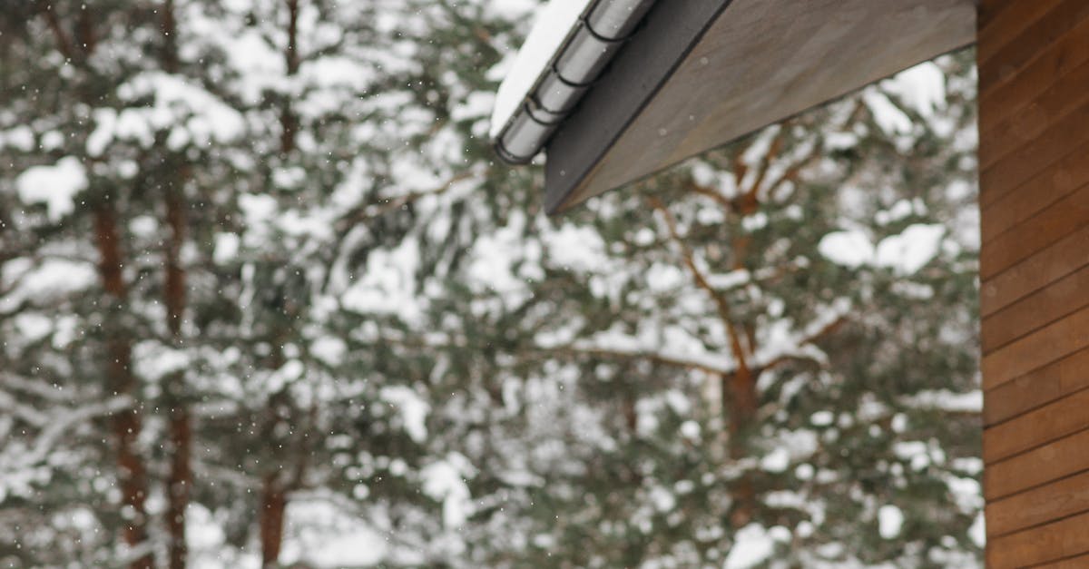 How to Interpret Gutter Cleaning Quotes in Sydney