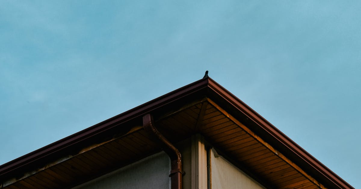 How to Interpret Online Reviews for Gutter Cleaning Companies