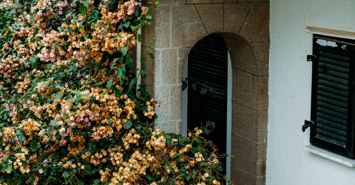 Sustainable Gutter Cleaning Practices for Sydney Homeowners