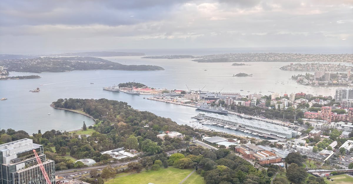 The Connection Between Clogged Gutters and Increased Pests in Urban Areas