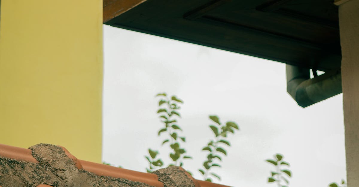 The Connection Between Gutter Cleanliness and Home Value