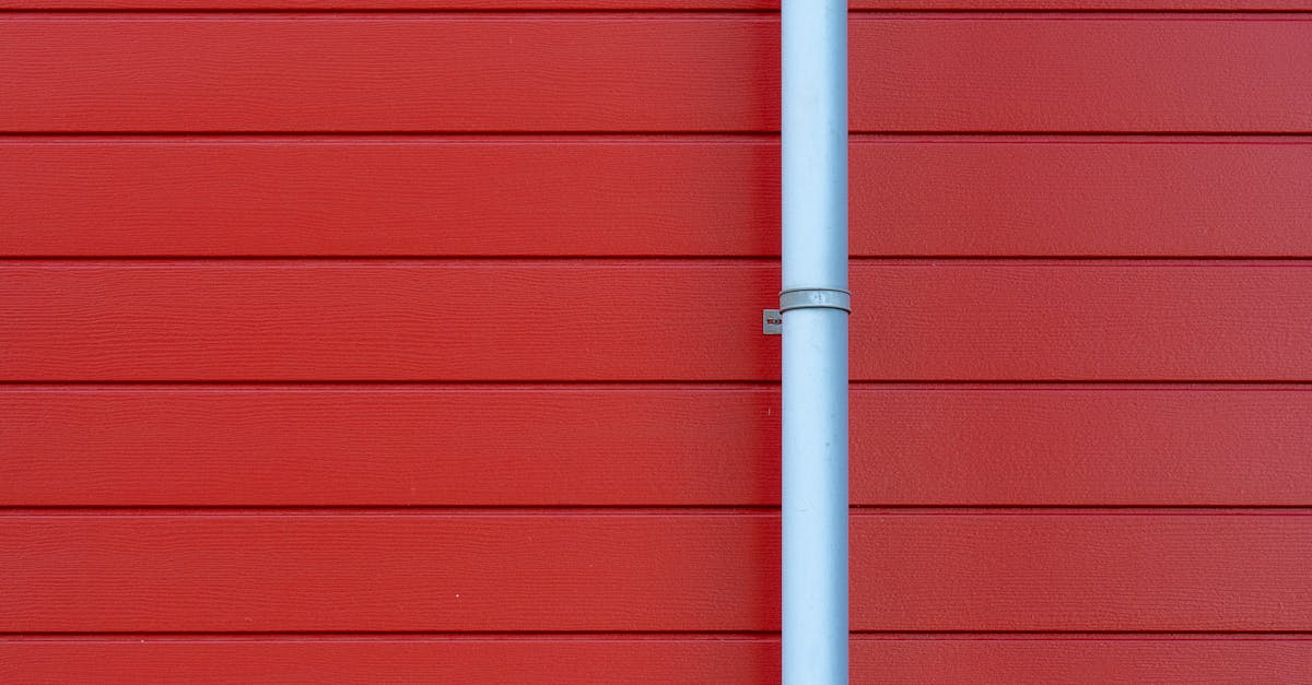 The Future of Gutter Cleaning: Innovations in Robotics