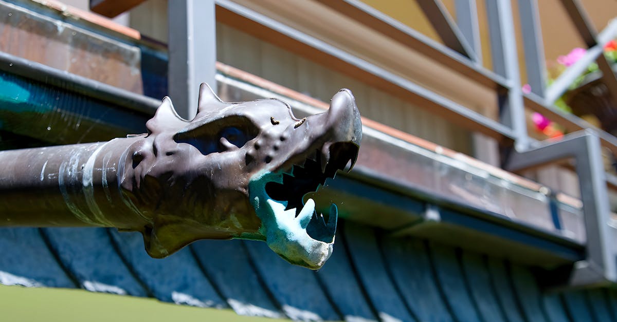 The Impact of Neglected Gutters on External Visual Appeal