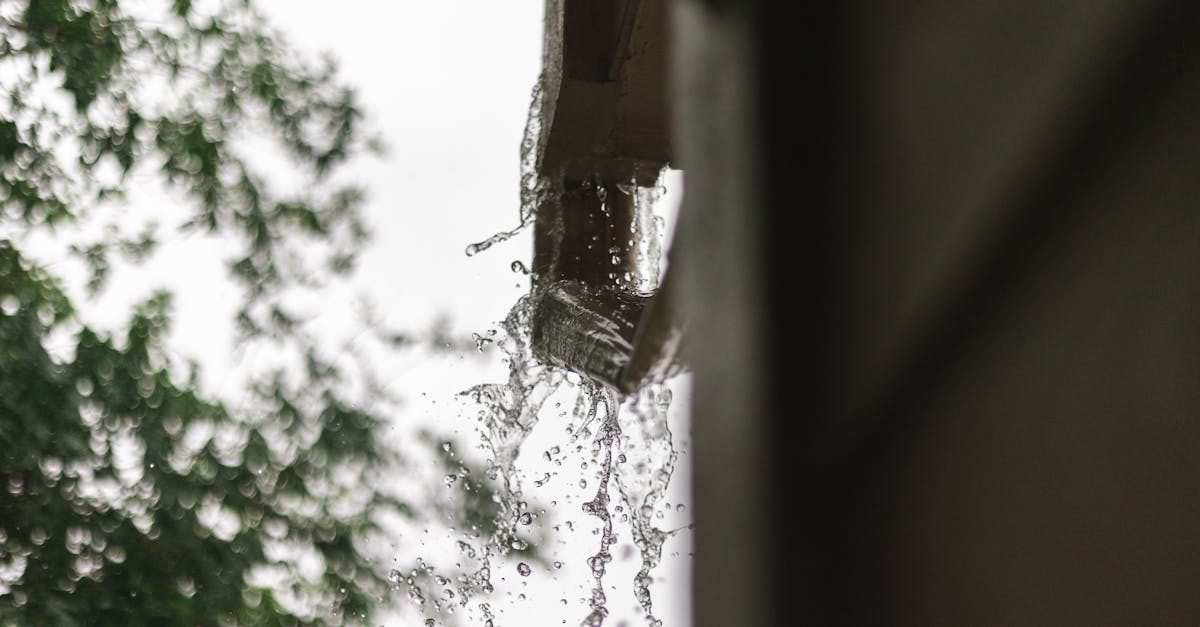 The Role of Gutter Cleaning in Preventing Structural Damage