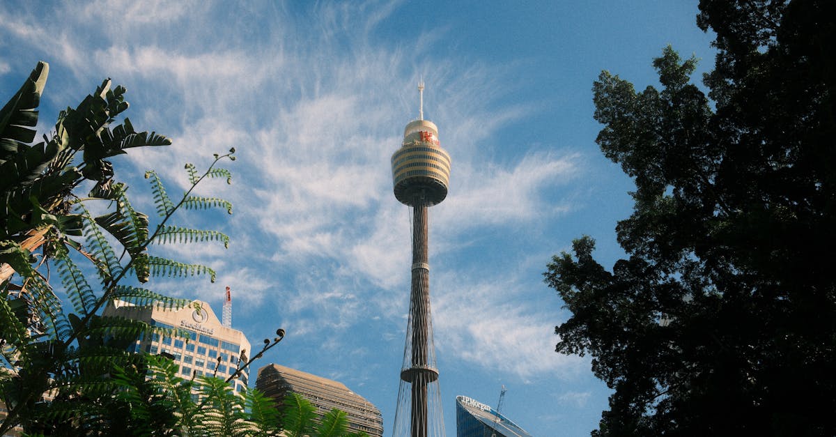 The Role of Insurance in Protecting Your Property During Gutter Cleaning