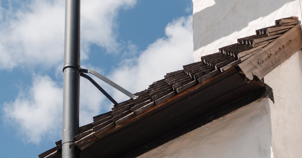 The Value of Industry Experience in Gutter Cleaning Services