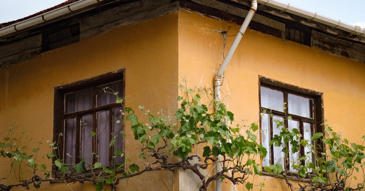 Why Regular Gutter Cleaning is Essential for Rainwater Management